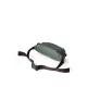 Чантичка Gregory Nano Waistpack